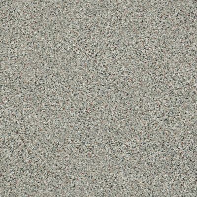 Shaw Floors SFA Fyc Ta Blue Dk Nat Net All Aboard (a) 570A_5E026
