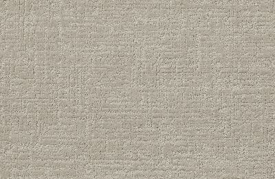 Shaw Floors SFA Creating Memories Net Shoreline Haze 128P_5E027