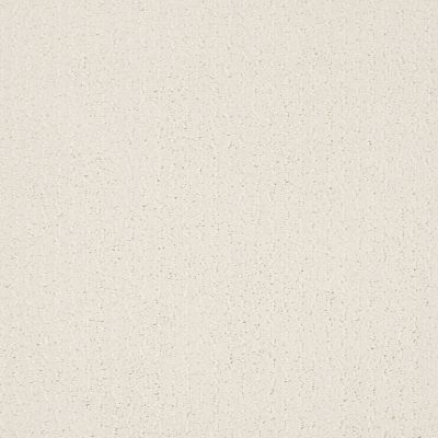 Shaw Floors Value Collections Warm Memories Net Clean Linen 122P_5E029