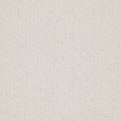 Shaw Floors Value Collections Warm Memories Net Cake Frosting 155P_5E029