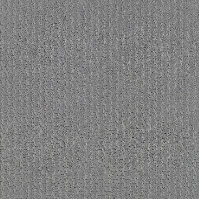 Shaw Floors Value Collections Warm Memories Net Cool Breeze 525P_5E029