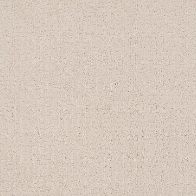 Shaw Floors Value Collections Warm Memories Net Subtle Blush 800P_5E029