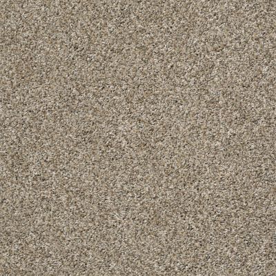 Shaw Floors Bellera Charmed Hues Tan 00101_5E039