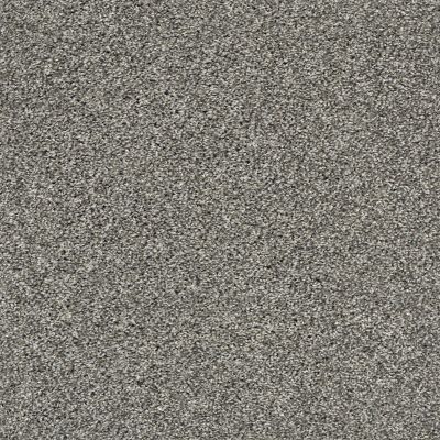 Shaw Floors Pet Perfect Plus Charmed Hues Warm Onyx 00515_5E039