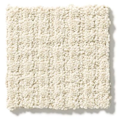 Shaw Floors Foundations Aerial Arts Canvas 5E040_00103