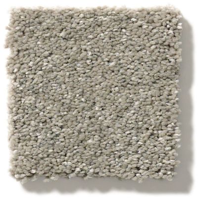 Shaw Floors Simply The Best After All I Rustic Taupe 5E044_00722
