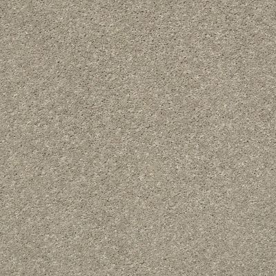 Shaw Floors Simply The Best After All II Sandstone 00723_5E045
