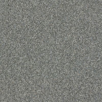 Shaw Floors Cabana Bay Tonal Net Shadow 00541_5E046