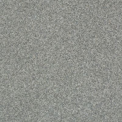Shaw Floors Cabana Bay Tonal Net Stainless 00542_5E046