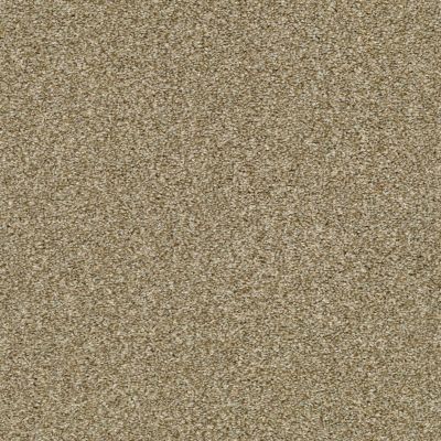 Shaw Floors Simply The Best Cabana Life (t) Net Dried Clay 00137_5E047