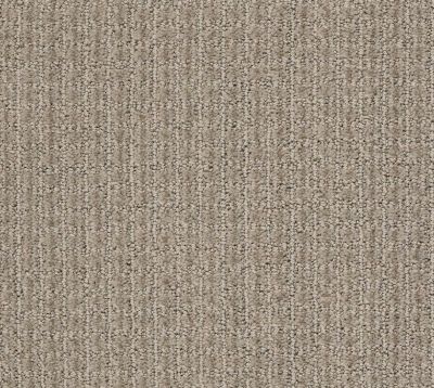 Shaw Floors Foundations Aerial Arts Net Artisan Taupe 00700_5E049
