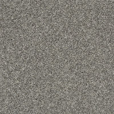 Shaw Floors Simply The Best All About It Net Warm Onyx 00515_5E052