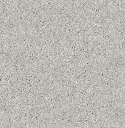 Shaw Floors Simply The Best After All I Net Shadow 00522_5E053
