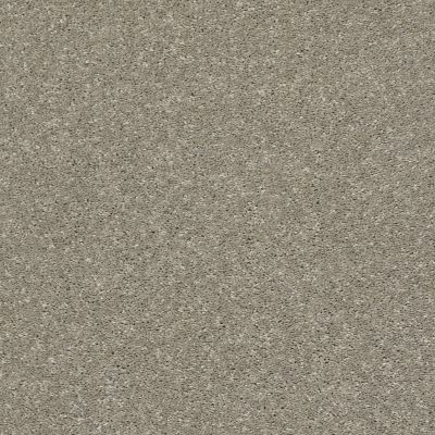 Shaw Floors Simply The Best After All II Net Rustic Taupe 00722_5E054