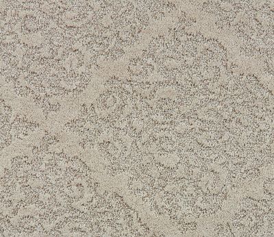 Shaw Floors Caress By Shaw Chateau Fare Net Clay 00700_5E056