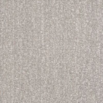 Shaw Floors Caress By Shaw Ombre Whisper Net Dusty Lilac 00900_5E061