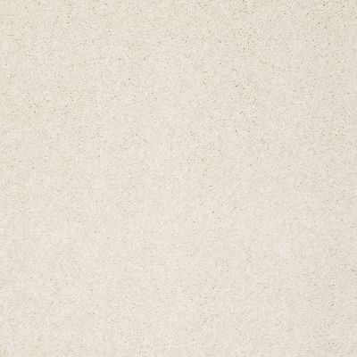 Shaw Floors Foundations Take The Floor Texture I Net Biscotti 00131_5E066