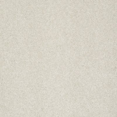 Shaw Floors Foundations Take The Floor Texture I Net Alpaca 00140_5E066