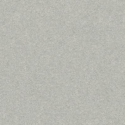 Shaw Floors Value Collections Take The Floor Texture I Net Gray Owl 00538_5E066