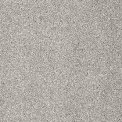 Shaw Floors Foundations Take The Floor Texture II Net Anchor 00546_5E067