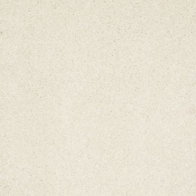 Shaw Floors Foundations Take The Floor Texture Blue Final Straw 00114_5E068