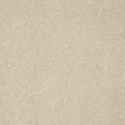 Shaw Floors Foundations Take The Floor Texture Blue Suitable 00712_5E068