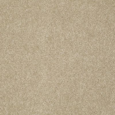 Shaw Floors Foundations Take The Floor Texture Blue Hazelnut 00750_5E068