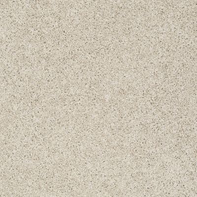 Shaw Floors Value Collections Take The Floor Twist I Net Neutral Ground 00134_5E069