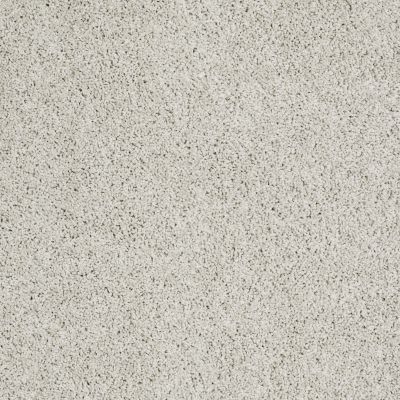 Shaw Floors Foundations Take The Floor Twist I Net Alpaca 00140_5E069