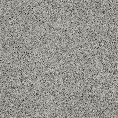 Shaw Floors Foundations Take The Floor Twist I Net Flint 00544_5E069