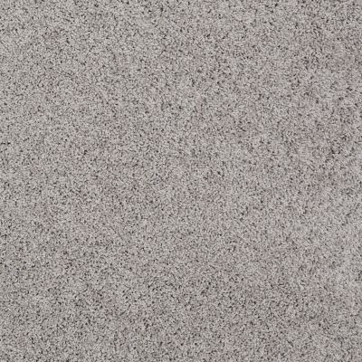 Shaw Floors Value Collections Take The Floor Twist I Net Anchor 00546_5E069