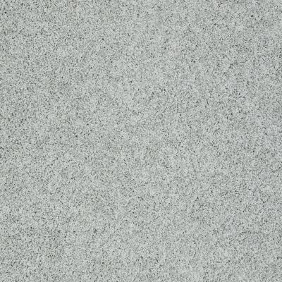 Shaw Floors Value Collections Take The Floor Twist I Net Pewter 00551_5E069