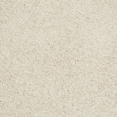 Shaw Floors Value Collections Take The Floor Twist II Net Modest 00116_5E070