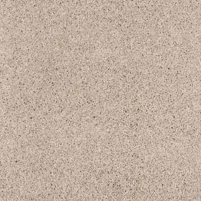 Shaw Floors Foundations Take The Floor Twist II Net Neutral Ground 00134_5E070