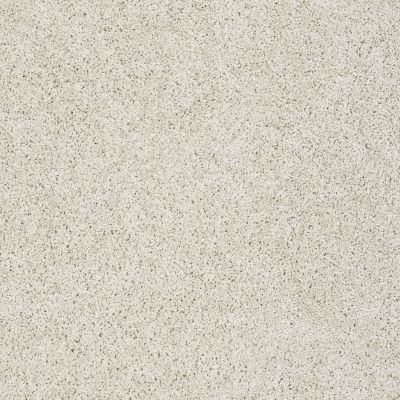 Shaw Floors Foundations Take The Floor Twist II Net Alpaca 00140_5E070