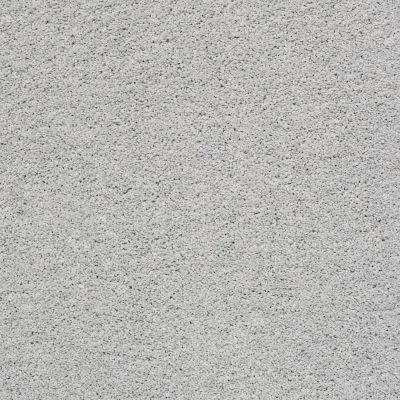 Shaw Floors Value Collections Take The Floor Twist II Net Gray Owl 00538_5E070
