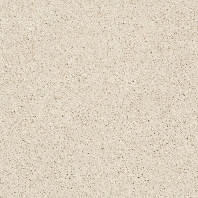 Shaw Floors Value Collections Take The Floor Twist Blue Final Straw 00114_5E071