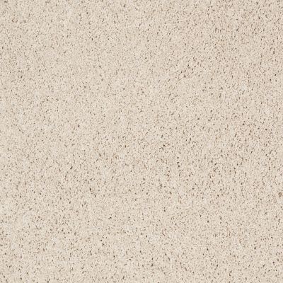 Shaw Floors Value Collections Take The Floor Twist Blue Biscotti 00131_5E071