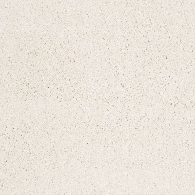 Shaw Floors Value Collections Take The Floor Twist Blue Paradise 00132_5E071