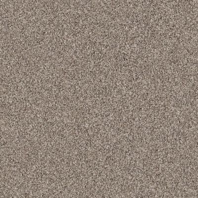 Shaw Floors Value Collections Take The Floor Tonal I Net Triumph 00164_5E072