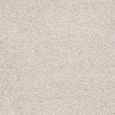 Shaw Floors Foundations Take The Floor Tonal I Net Cashmere 00260_5E072