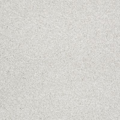 Shaw Floors Value Collections Take The Floor Tonal II Net Orion 00160_5E073