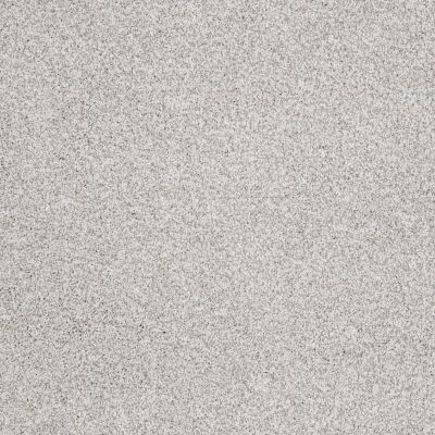 Shaw Floors Value Collections Take The Floor Tonal II Net Classique 00161_5E073
