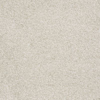 Shaw Floors Value Collections Take The Floor Tonal II Net Cashmere 00260_5E073