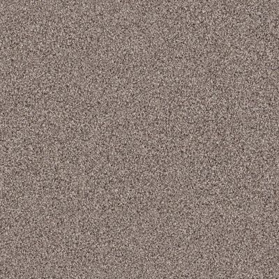 Shaw Floors Foundations Take The Floor Tonal II Net Tundra 00760_5E073