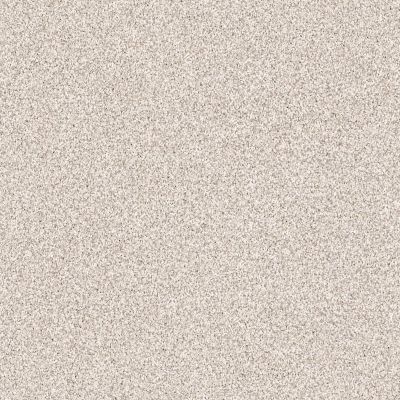 Shaw Floors Value Collections Take The Floor Tonal Blue Net Statuary 00167_5E074