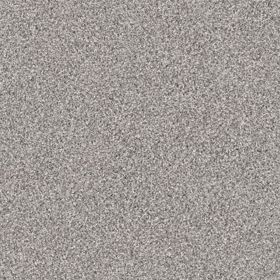 Shaw Floors Value Collections Take The Floor Tonal Blue Net Stellar 00562_5E074