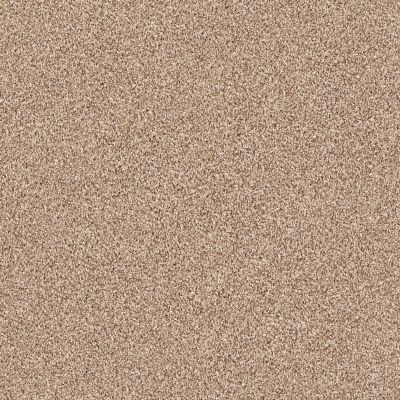 Shaw Floors Value Collections Take The Floor Tonal Blue Net Sienna 00761_5E074