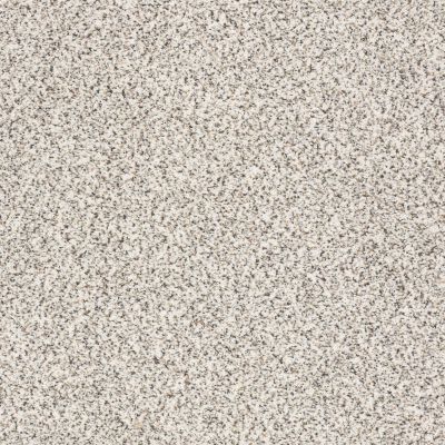 Shaw Floors Value Collections Take The Floor Accent I Net Avalanche 00173_5E075