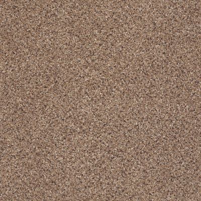 Shaw Floors Value Collections Take The Floor Accent I Net Baltic Brown 00770_5E075